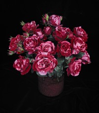 Durrell (Rose)
