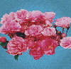 Lorna (Rose)