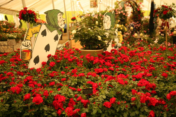Moment In Time (Rose)